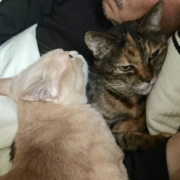 26467b5b 0782 4b77 ba27 8b15069dd648 1594772412598