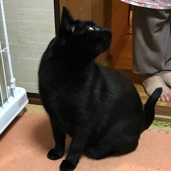 264693b6 2cb9 49a6 8f80 1c1fc85fd85c 1509758113997