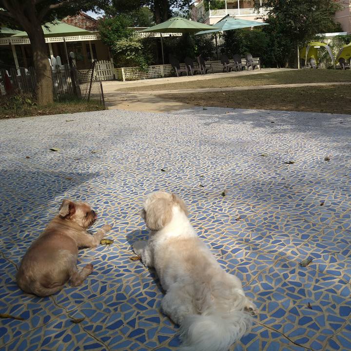 2646aa96 e954 4a76 ad77 0c44800f6e65 1632529530735