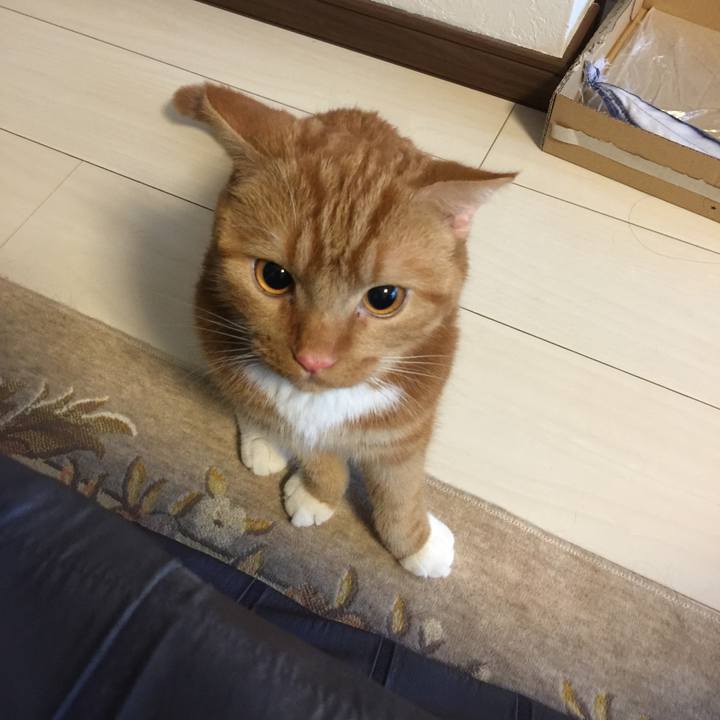 26470233 f120 4eba aad6 d782d94a5c65 1529448837442