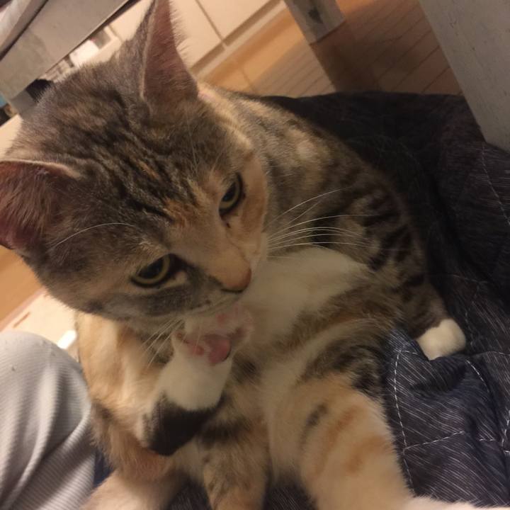 26470c69 62ba 4617 9a2c eb24a5b04727 1553100533730