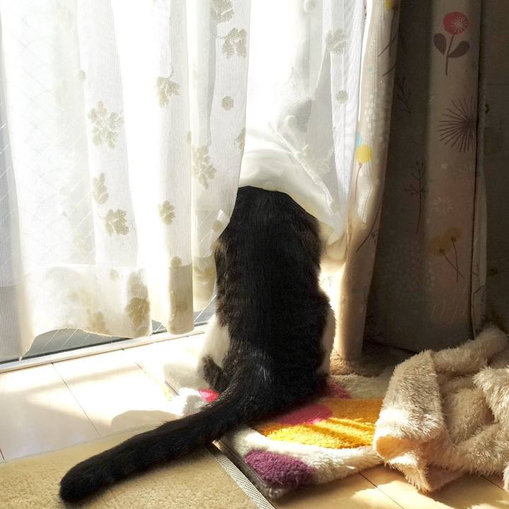 26472856 45a2 4dd3 abcc 0c81ebcbdc65 1760786263307