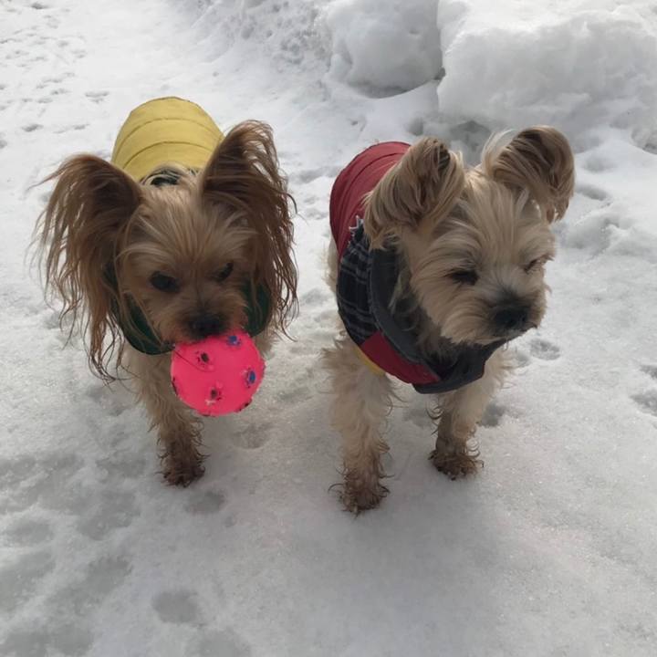 26472cb8 07e5 484a a1e6 1435b673c993 1551395893264