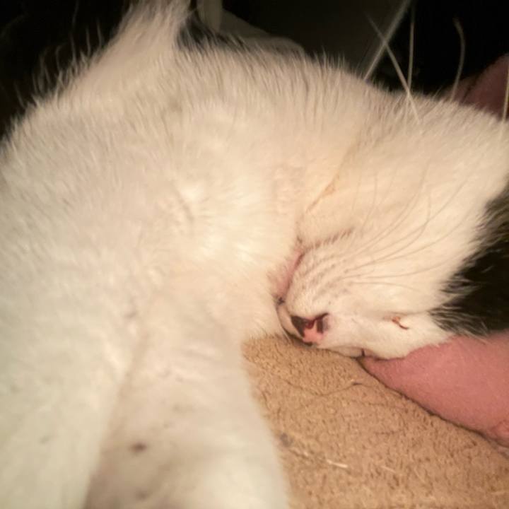 26474dac a868 4da5 9ba0 0c1513ef355a 1682330298104