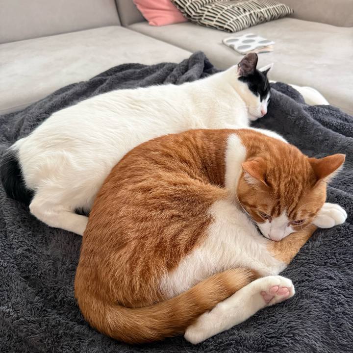 2647900f 90a2 4cd1 a478 d62eb06a87aa 1772764818068