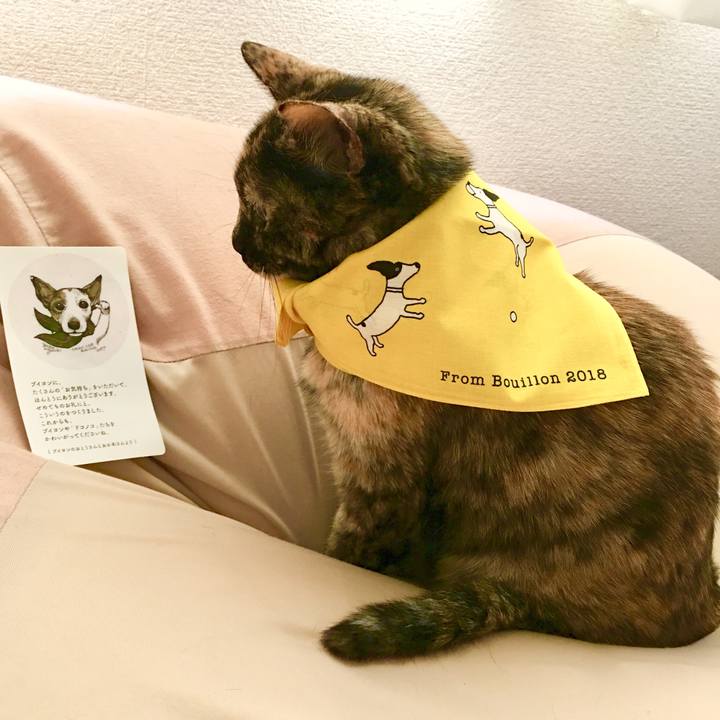 2647a1fe 2070 4772 a2fc d39a94f2f6d4 1524135139191