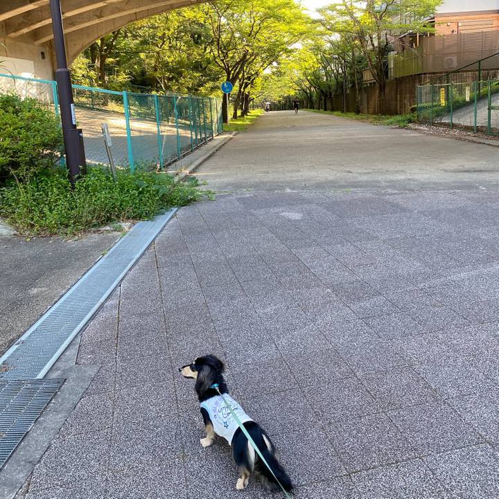 2647beb6 3034 4fdb b95c d4b07a5b4e0f 1690241648748