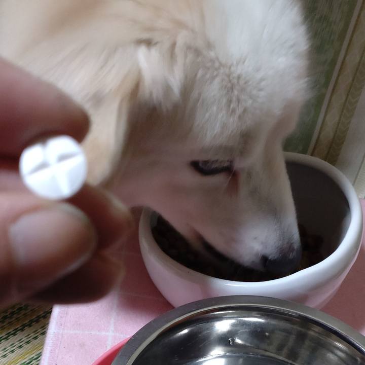 2647ff20 9da7 484b abc8 cb6e4c40097f 1642381925181