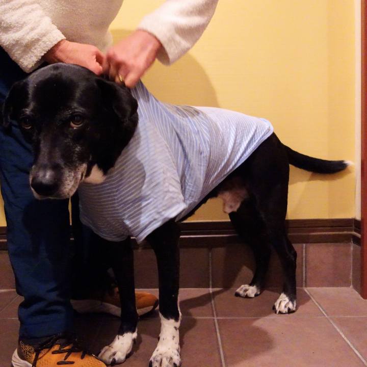 26481b7c 5e8a 4d24 ba1a 9137ed75c13b 1740741015201