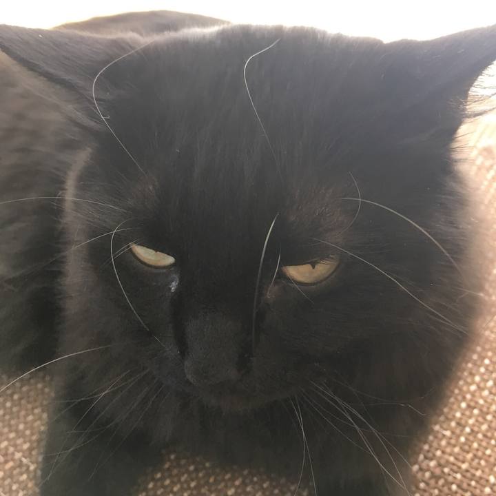 26482026 6f28 4045 9810 ebc852db83b4 1527580632440