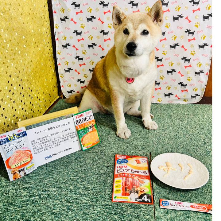 264832cc 3a0c 4ac9 8678 6a55723f8037 1750490321378