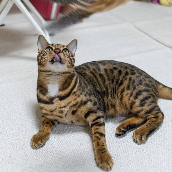 26488145 bd57 49b3 959c 29129f876762 1518627613457