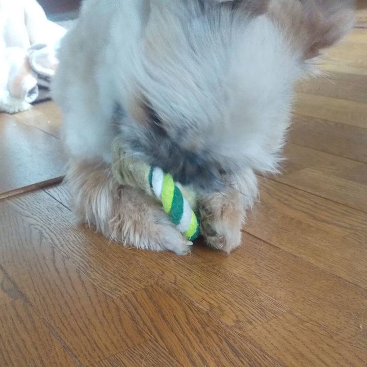 2648a286 2dcf 4da6 90dd 173bb2537d0e 1708394103482