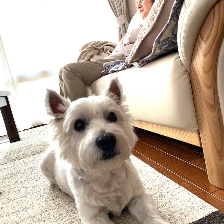 2648b0da eefd 4a0f b23d 9b7b1517009f 1570631615289