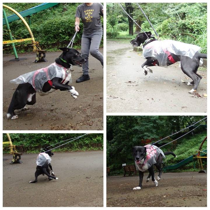 2649187c bc3b 49e1 855a 761fab80c46f 1630542642178