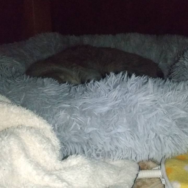 26493125 e117 41e5 9a6c e1a459bfbd0b 1641443853573