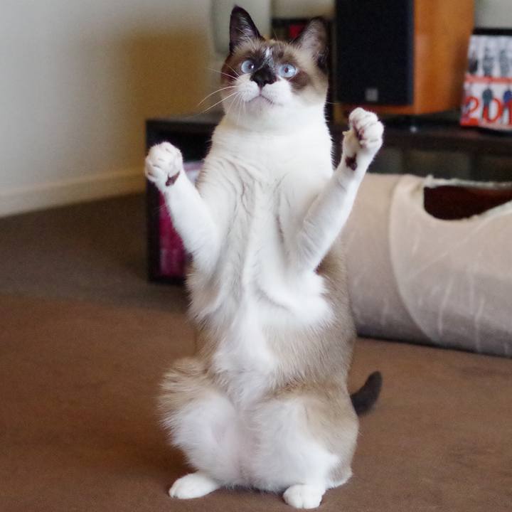 264949d8 da76 46b2 9075 3a5810c8adb8 1535600558162