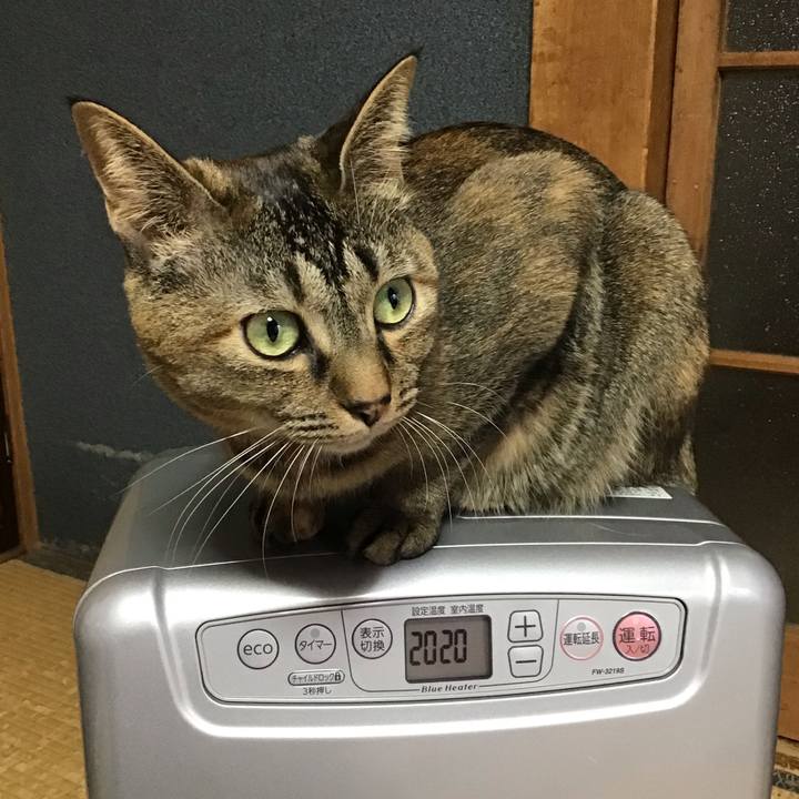 264986f6 09ff 4903 8bb4 687898a16fb6 1641769796707