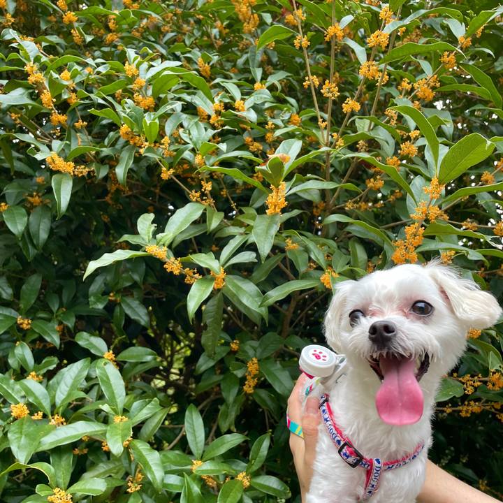 2649ac6b a13d 453f 9844 e64ce4a2c489 1631589612073