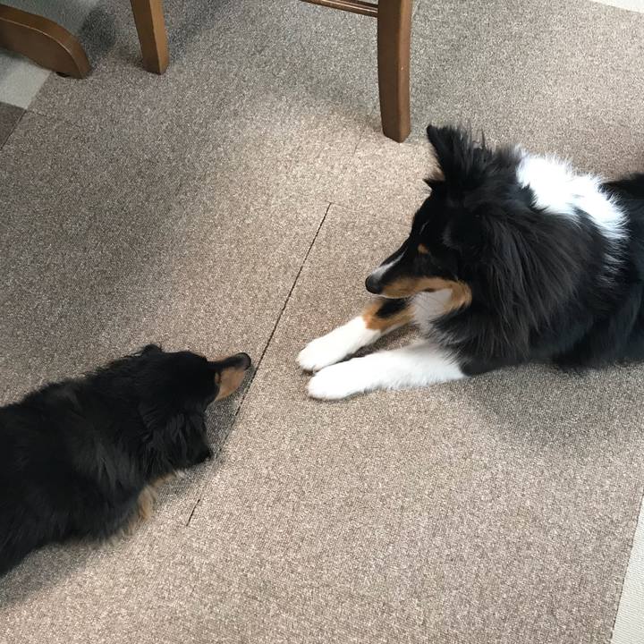 2649c3b0 e139 44f0 9fd7 550fe795258a 1523827464763