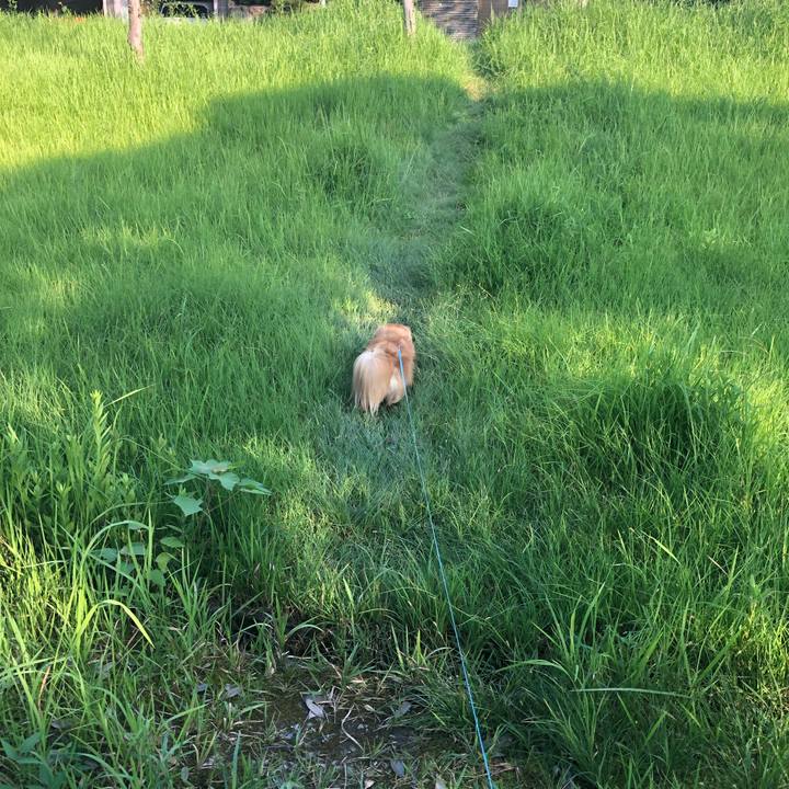 2649eaa6 d2bb 45cc 8693 0429794adbf9 1564964575180