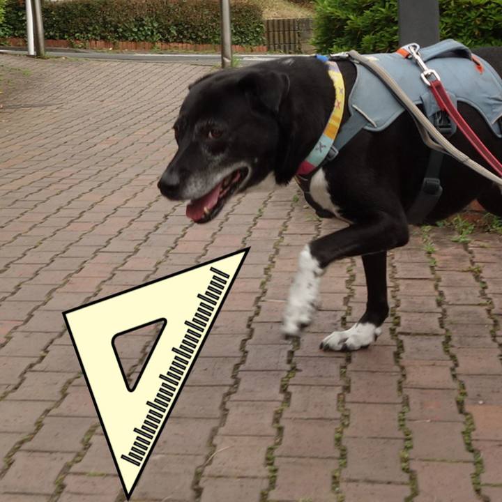 264a08d3 b897 42c4 adbc 2f67ea135c26 1749772676222