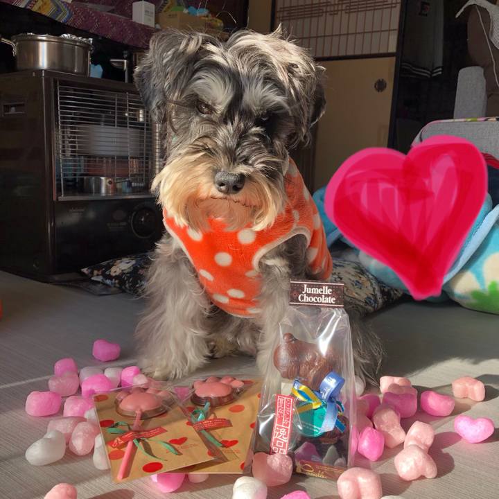 264a09cc 32d6 4749 8a4d 292110f68e96 1581592003768