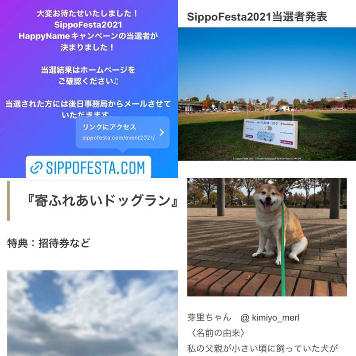 264a27c8 a7fb 4aae 873c 716a1c290781 1645618741194