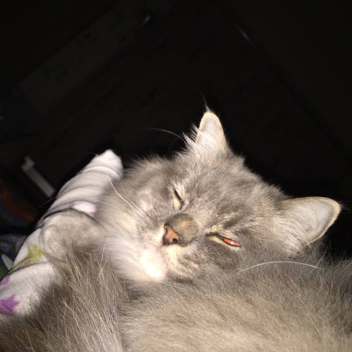 264a3c6d 1d83 4801 b95e 1e23f47b9407 1517238356500