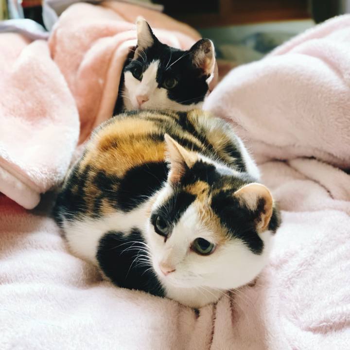 264a6f80 a5b8 4785 a83d 3164903e2ff3 1556417131723