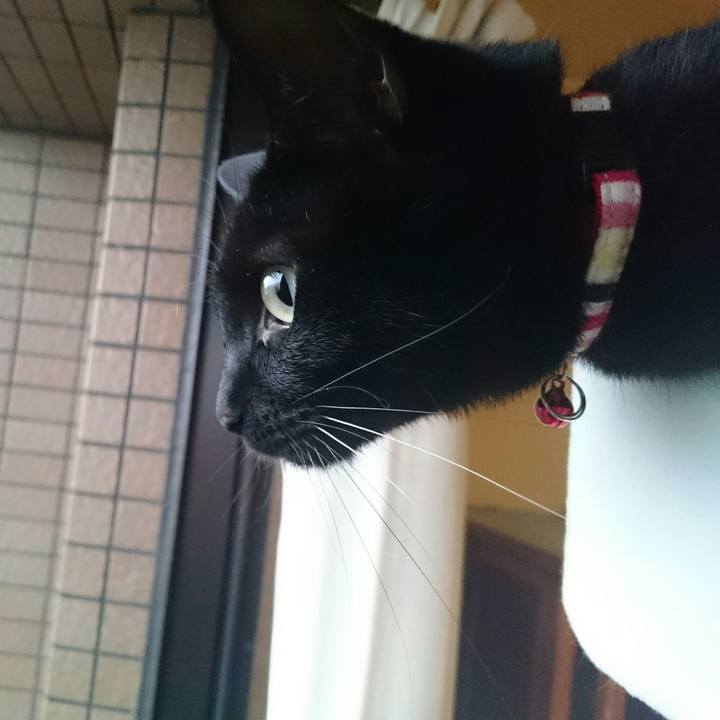 264adc73 195a 4810 a5a7 59bb00ead05b 1514331603961