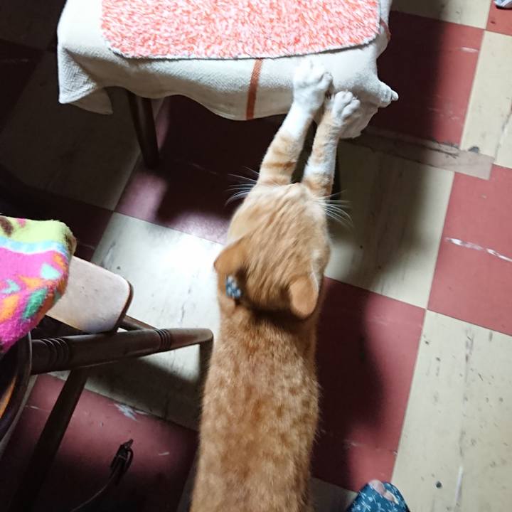 264ae192 a020 4d36 adca c675c3c36af4 1571430865570