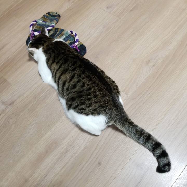 264ae6ba 0b05 4b13 aece 7091f39d34f0 1588018806442