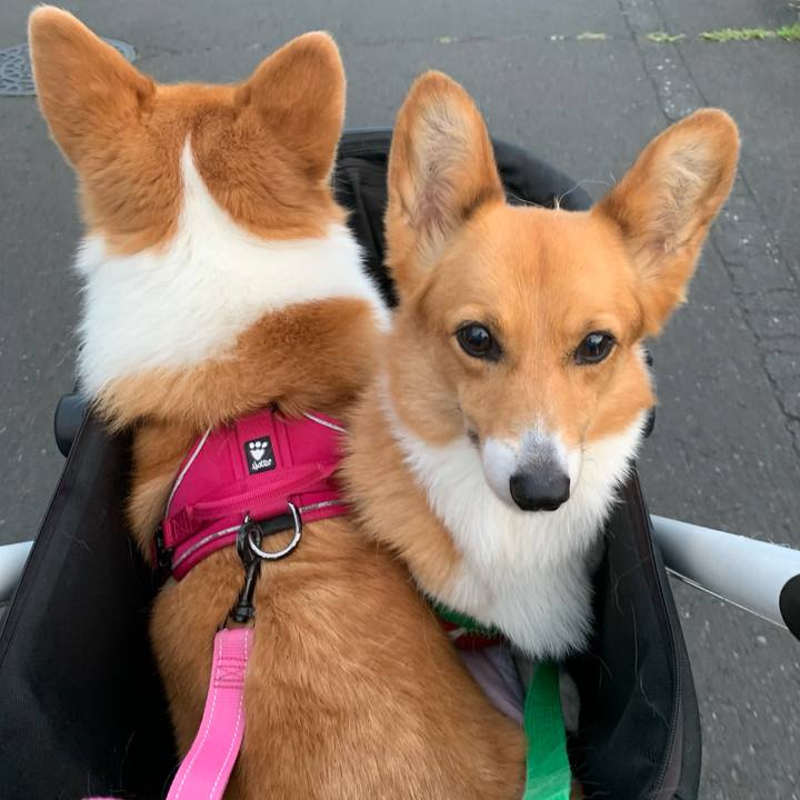 264aed39 2b1a 4a90 b946 0f63c66a8b96 1624708814350