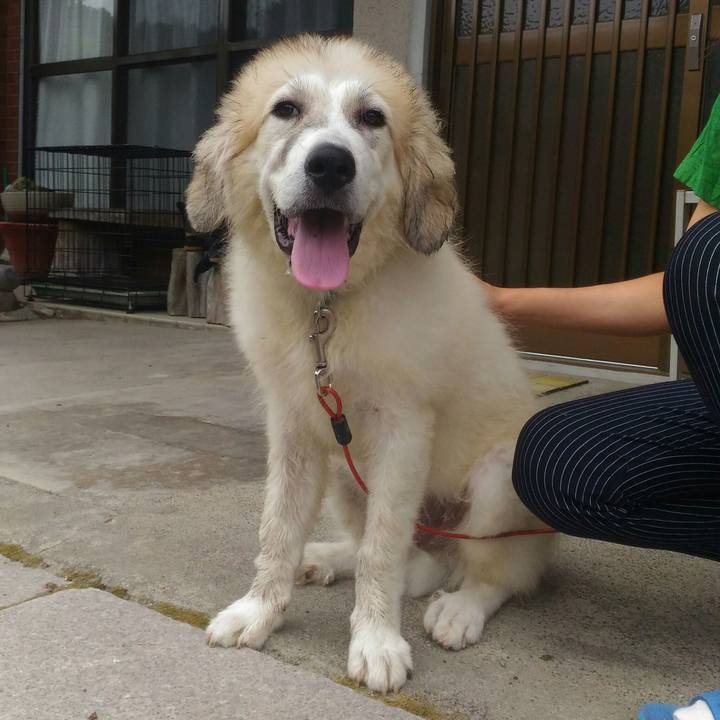 264b1aa4 7757 4226 977e f582435df46d 1532767989497