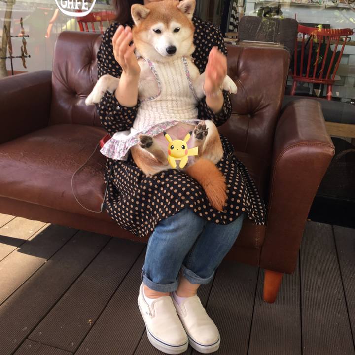 264b3ecf 8fca 4aa3 b8c9 9071700f7214 1533299727984