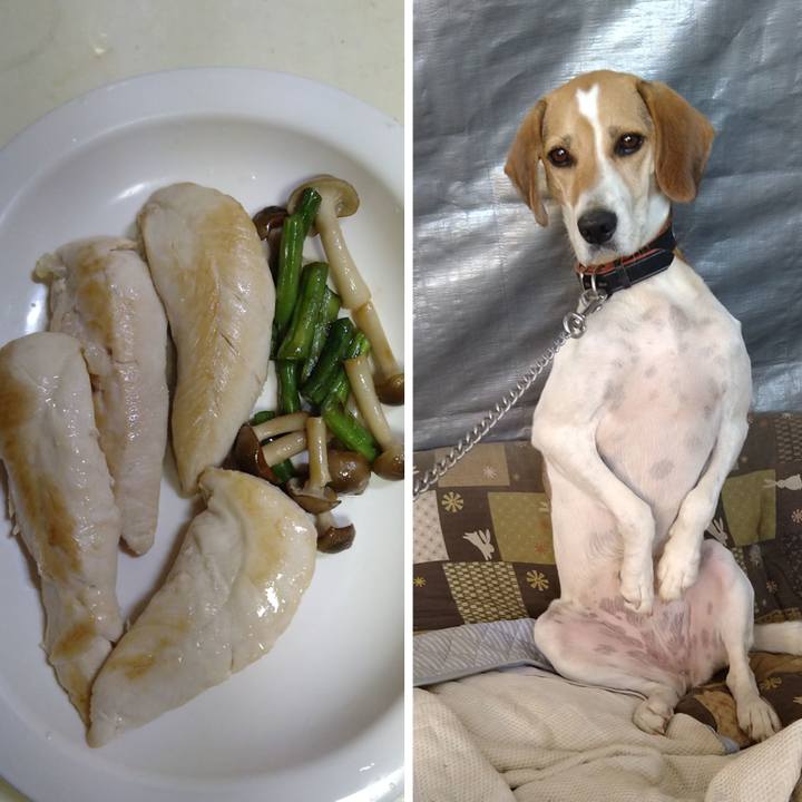 264b6d88 a82e 4f59 b9d6 82681547c57d 1633413760361