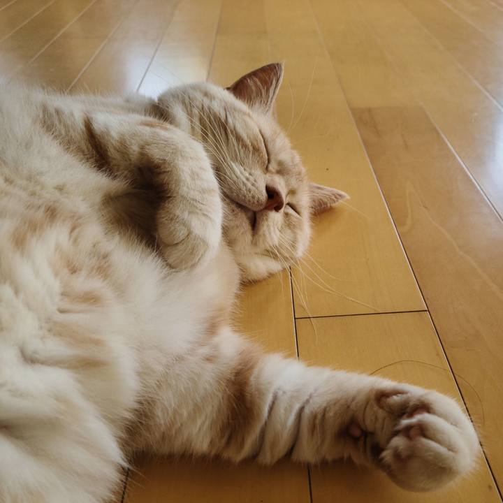 264b7692 7744 4e60 a9f2 ad63fdc22acc 1626762034546