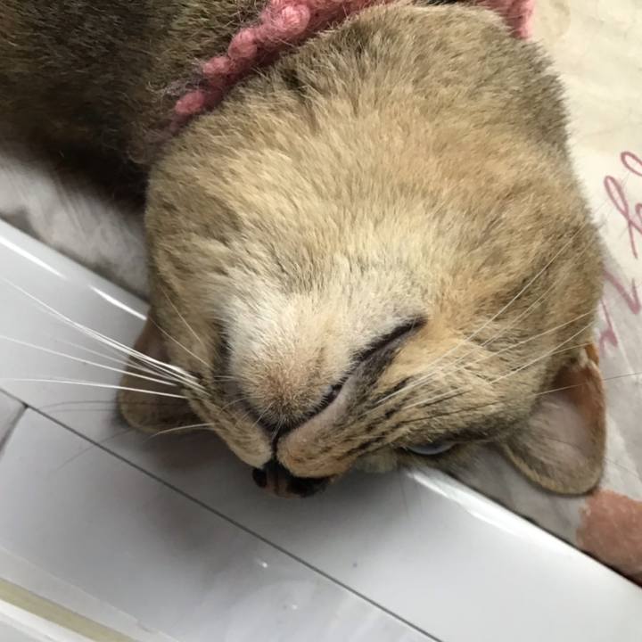 264b871f 711d 412d bca1 feefe9345bff 1594031512942