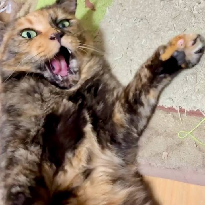 264b9469 bb9b 4175 a160 a457e748042b 1754681975564