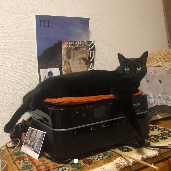 264b9725 4477 4c32 b703 482a1fca95f0 1559262463584