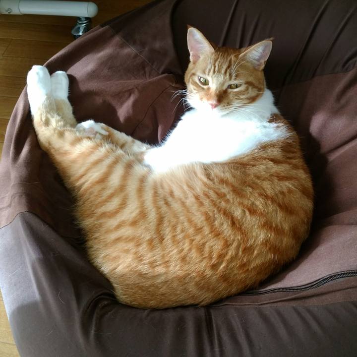 264b9771 fd22 4331 95ba 91e043d26902 1563533094757