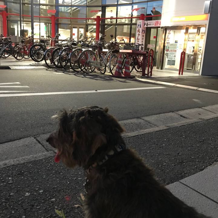 264bb9c6 25a8 4b7d bb9b 8ca8e87b7b80 1532341738362