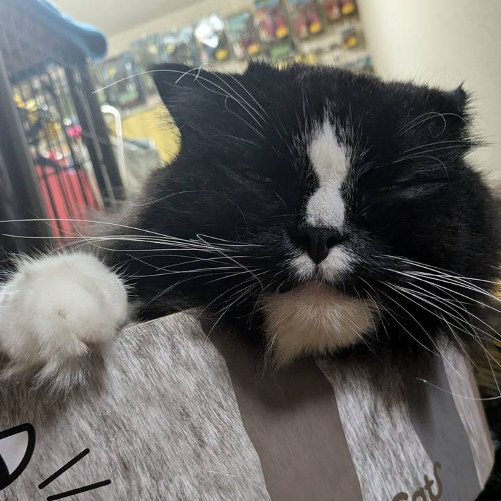 264bde79 9435 47af a78c e9b835195a4d 1728380938025