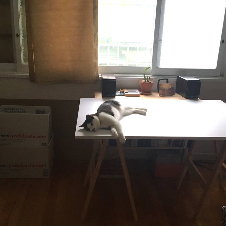 264c0ac4 f9c8 41c5 abf8 e0affcaa17b7 1531183729546