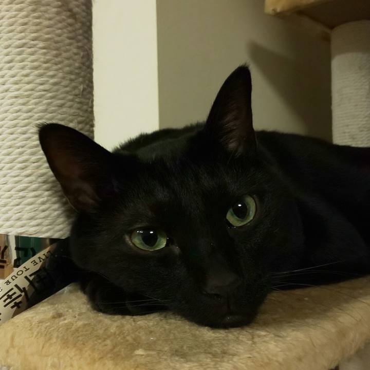 264c4c7a effc 4817 91ee 66b1ab0dfea4 1673014596347