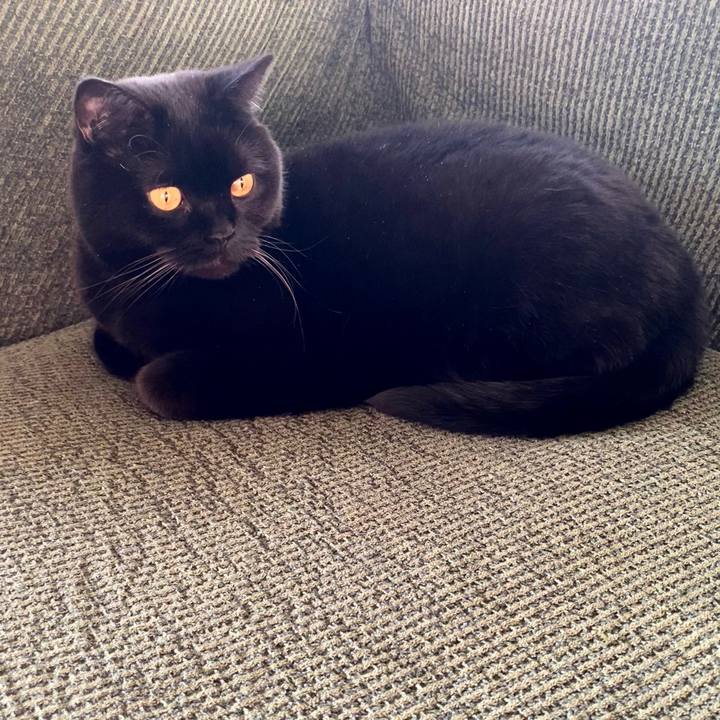 264c5704 f5f8 4f50 8331 107437b0bf98 1702456492483