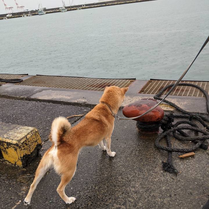 264c5a06 f4c4 4755 b69e caaa1e514ef6 1635758656224