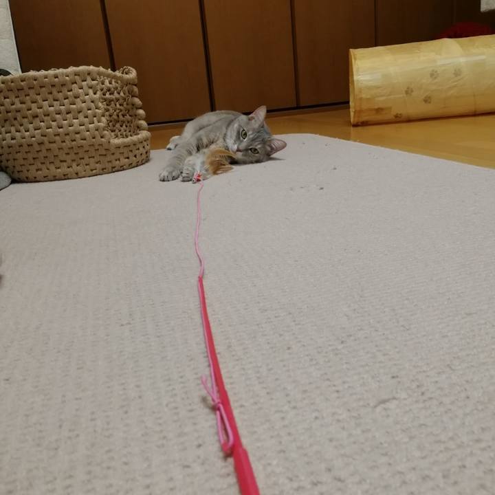 264c72ba da9e 4909 a0fd d3fa061581de 1552311963283