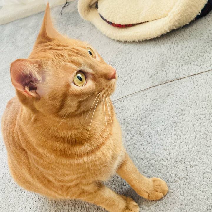 264cbf41 ccdf 4ca5 a6e7 88baad9edde8 1614064679050